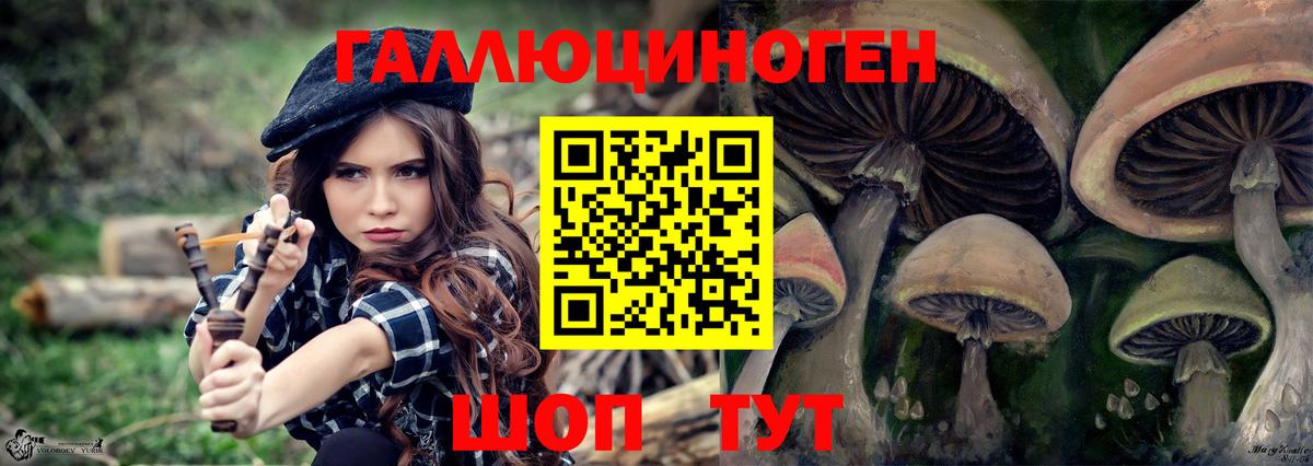 Галлюциногенные грибы Psilocybe Дальнегорск